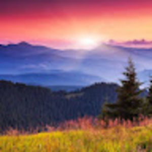 Meet your Posher, Edwin